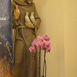 Celebrazione San Francesco 2018